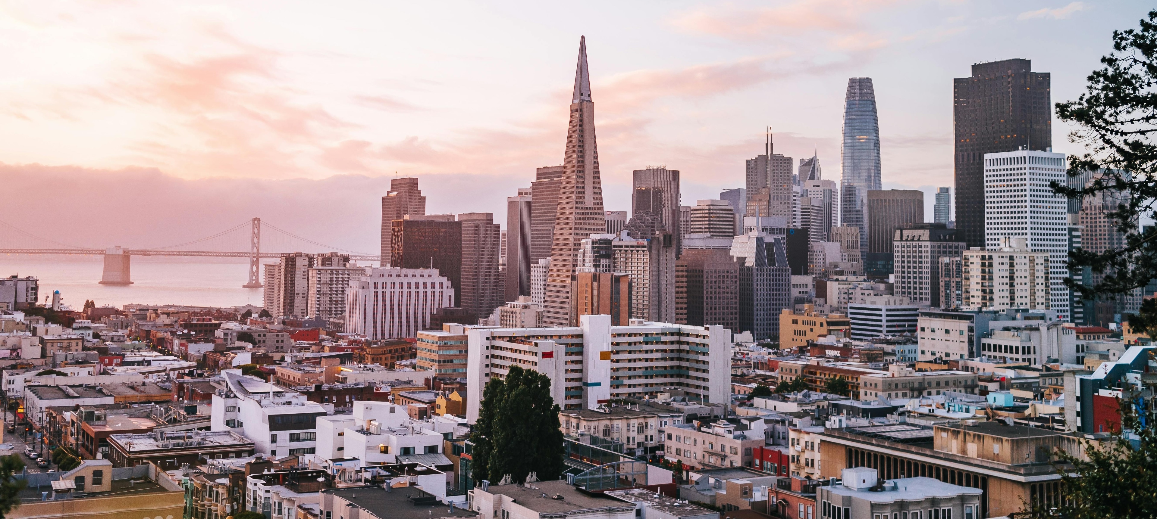 San Mateo Luxury Home 6