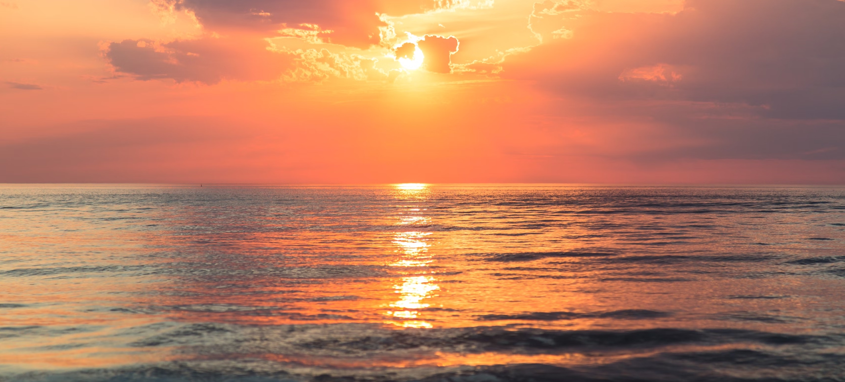 San Mateo Luxury Home 7